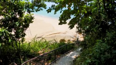 Yeşil tropikal ağaçların arasından denize çıkan merdivenler. Vaha manzaralı. Ormanın içinden turkuvaz okyanus suyuna ve kumlu plaja giden yol. Seyahat kavramı, deniz yaz tatili, Asya seyahati. Doğa arkaplanı.