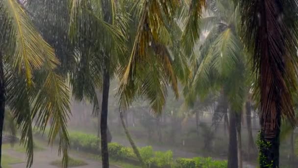 Silny Tropikalny Deszcz Wiatrem Porze Deszczowej Tajlandii Azji Letnie Deszcze — Wideo stockowe