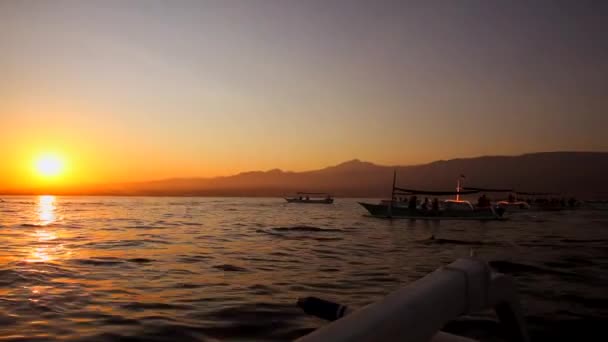 Wild Free Dolphins Swim Ocean Sunrise Bright Sun Many Boats — Vídeo de Stock