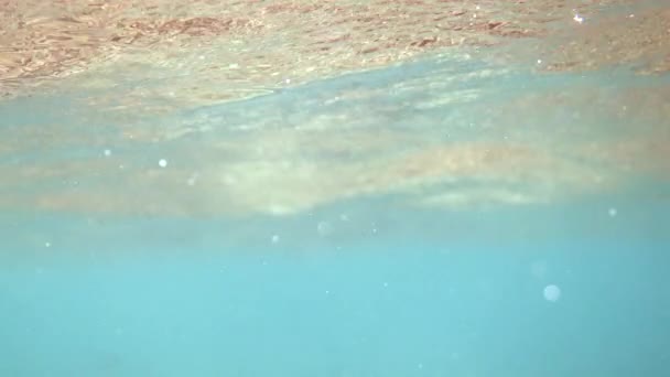 Situación Peligro Buceo Snorkel Video Submarino Tiburones Nadadores Lejos Caza — Vídeo de stock