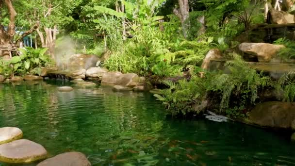 Hermoso Estanque Con Peces Koi Coloridos Entre Árboles Verdes Tropicales — Vídeos de Stock