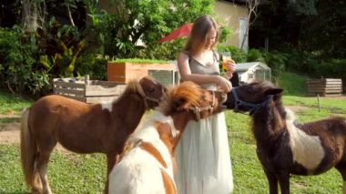 Young happy woman feeding little ponies with carrots from his hand on the countryside farm. Girl giving vegetable food to dwarf horses. Cute horses on ranch, open zoo or cafe. Slow motion