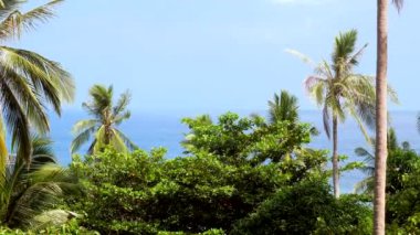 Palmiye ağaçları ve mavi deniz, tropikal adada yaz günü. Tayland cennet tatili, gökyüzü ve okyanus manzarası. Tropik tatil beldelerinde tatil. Turizm konsepti.