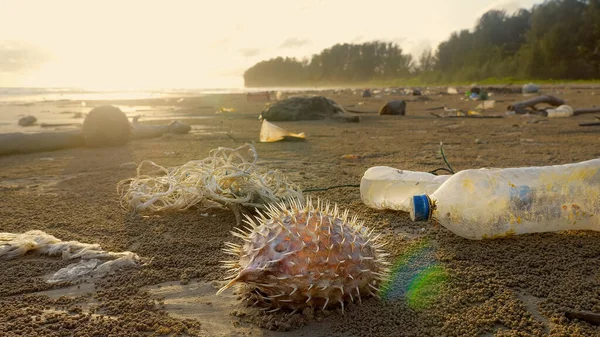 Ecological disaster, shore of sea beach is littered with plastic debris, empty bottles and dead fish after high tide. Ocean trash on sunset coastline. Ecology, global warming, planet pollution concept