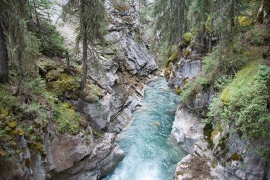 Johnston Kanyonu 'nun nehir kesiminde. Banff Ulusal Parkı, Alberta, Kanada