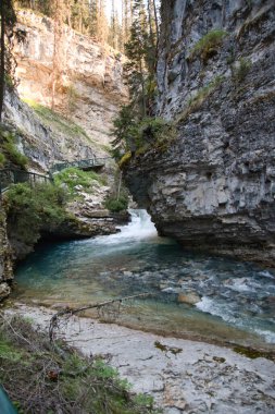 Johnston Kanyonu 'nun izi. Banff Ulusal Parkı, Alberta, Kanada