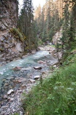 Johnston Kanyonu 'nun nehir kesiminde. Banff Ulusal Parkı, Alberta, Kanada