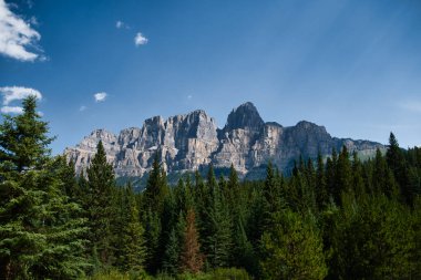 Castle Mountain manzarası. Banff Ulusal Parkı, Alberta, Kanada