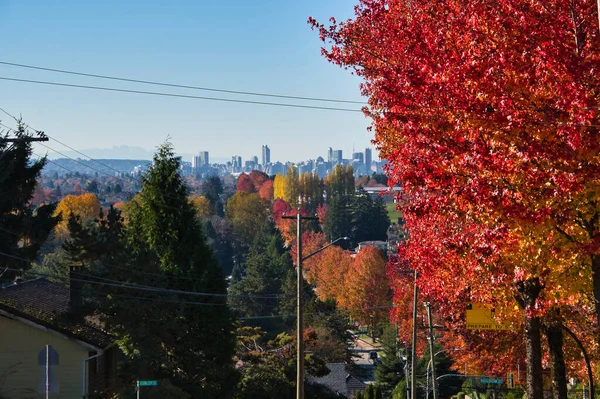 Automne Coloré Burnaby Canada — Photo