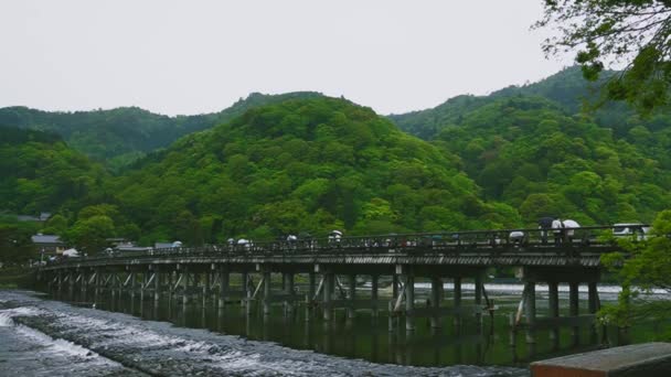 Міст Тогецу Кьо Через Річку Охі Дощовий День Арашіяма Кіото — стокове відео