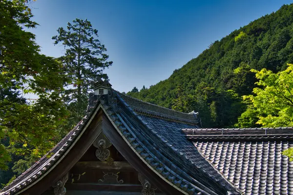 Ein Dach Über Dem Yoshimine Dera Tempel Und Den Bäumen — Stockfoto