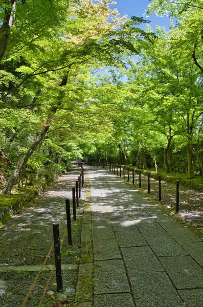 Approach Komyo Temple Kyoto Japan — Zdjęcie stockowe