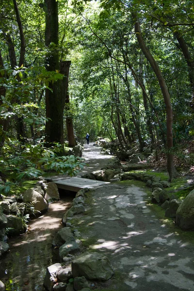 Garden Walkway Shinen Heian Jingu Shrine Kyoto Japan —  Fotos de Stock