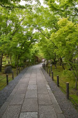 The approach inside Eikan-Do temple.  Kyoto Japan