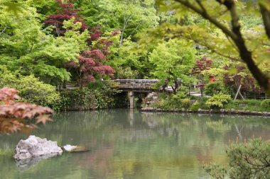Eikan-Do tapınağındaki bahçe ve gölet. Kyoto Japonya