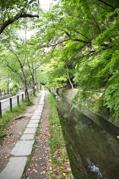 春の哲学の道の眺め 京都日本 — ストック写真