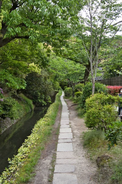 春の哲学の道の眺め 京都日本 — ストック写真