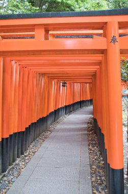 Yüzlerce tapınak kapısı ve Fushimi-inari türbesine yaklaşımı. Kyoto Japonya