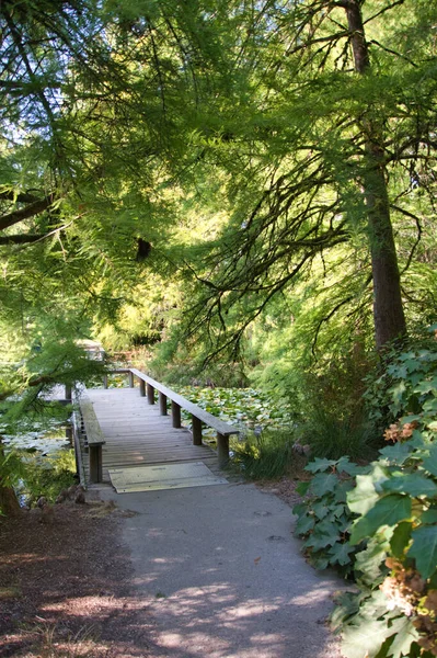 Paseo Marítimo Sobre Estanque Jardín Botánico Vandusen Vancouver Canadá —  Fotos de Stock