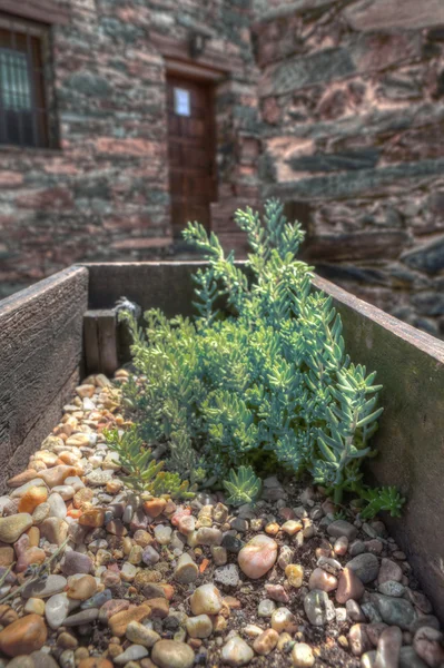 Stony planter — Stockfoto