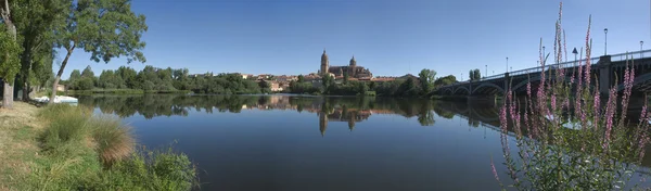 Salamanca panorámica del río — Foto de Stock