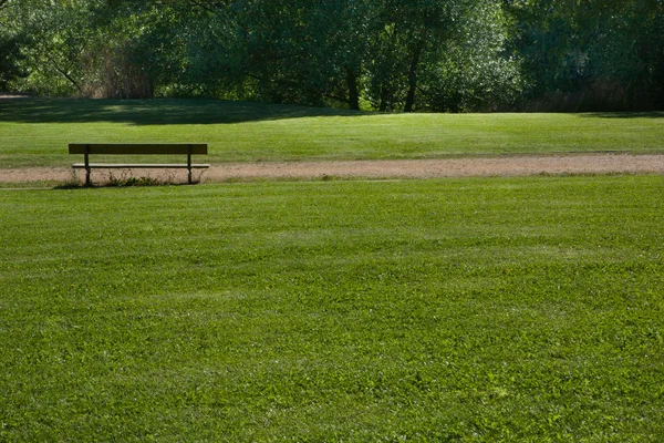 Banco del parque con hierba verde — Foto de Stock