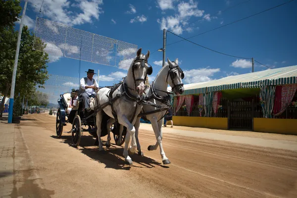 Les gens dans les chevaux de calèche — Photo