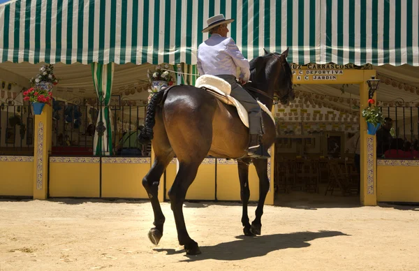 Hiszpański jeździec — Zdjęcie stockowe