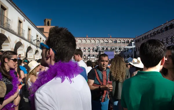 Viele Federn auf der Plaza Alta — Stockfoto