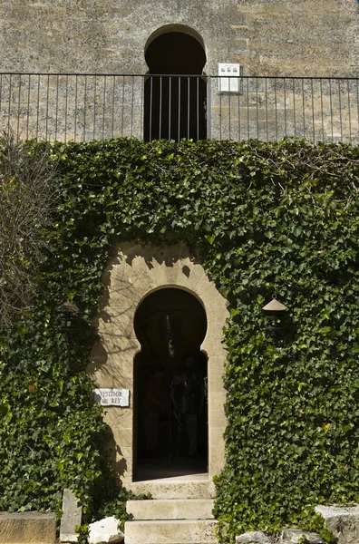 Cavalluccio arco in edera — Foto Stock