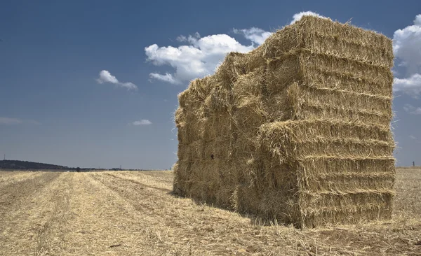 Squared bales of straw — Stock Photo, Image