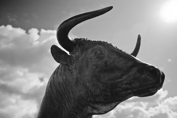 Sílhueta de cabeça de touro — Fotografia de Stock