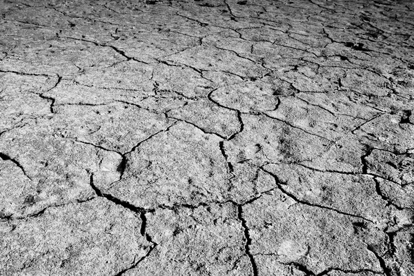 Tierra seca agrietada —  Fotos de Stock