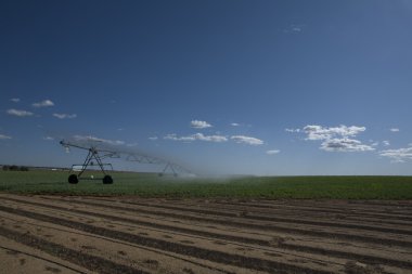 Pivot sulama gozlerime Merkezi