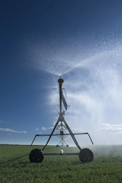 Center pivot irrigation field — Stock Photo, Image