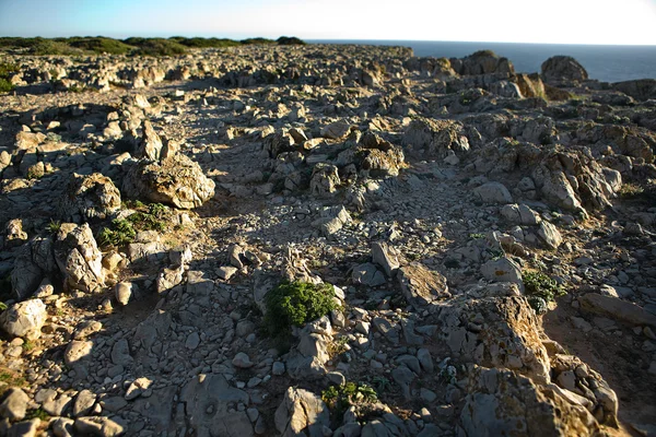 Terreno pietroso — Foto Stock