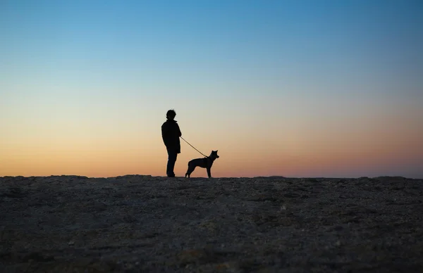 Homem e cão ao pôr do sol — Fotografia de Stock