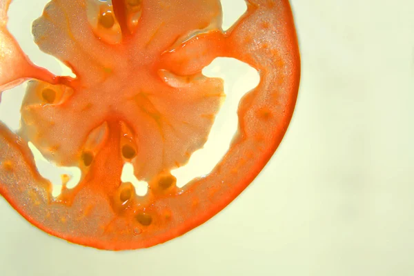 Feuille de détail tomate sur verre — Photo