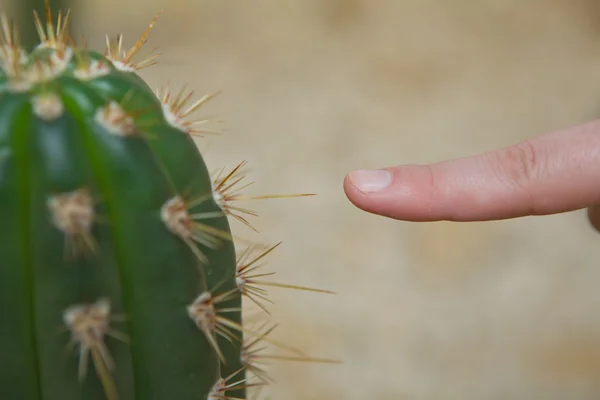 Thorn and finger — Stock Photo, Image