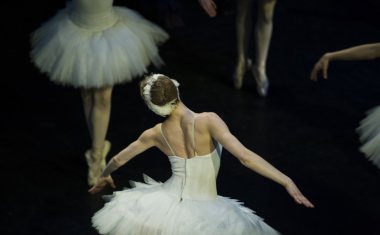 Odette flys