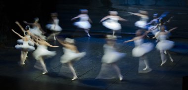 cercle de fille swan
