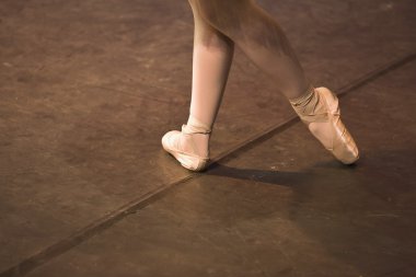 Pointe Ayakkabı