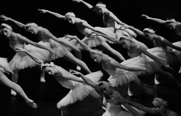 Kuğu kızlar Yüzme