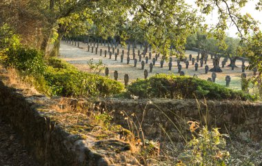 Alman ormanı mezarlığı
