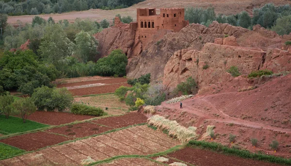 Landsacape du Dadès — Photo