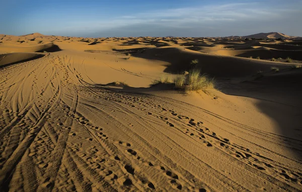 Треки Erg Chebbi — стоковое фото