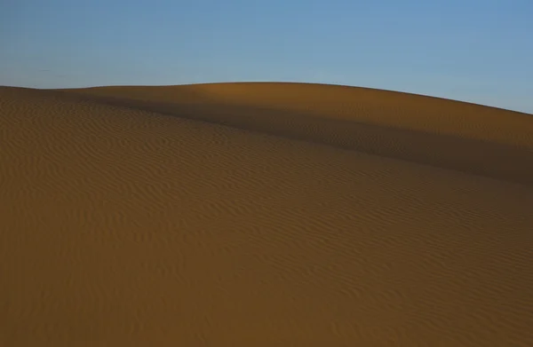 Textures du désert — Photo