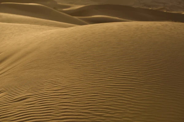 Sahara textures — Stock Photo, Image