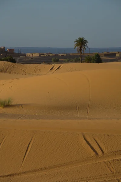 View of Merxouga from dunes — Stock Photo, Image