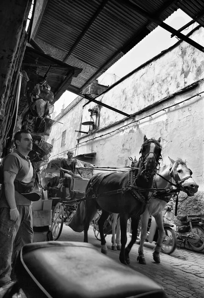 Paard en wagen in een Marokkaanse straat — Stockfoto